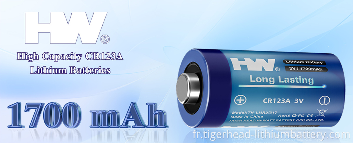 TH-LMR317-details-1
